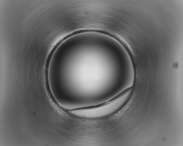 X0000090911085200708131408