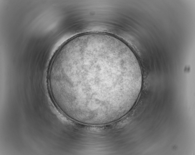 X0000090911086200708131408