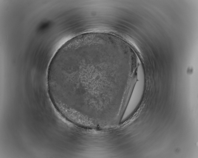 X0000090911087200708131408