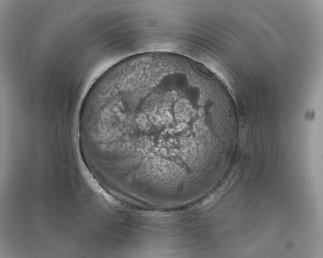 X0000090911088200708131408