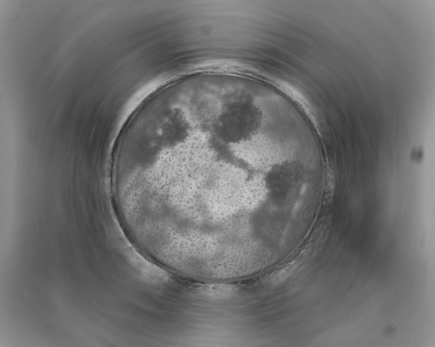 X0000090911090200708131408