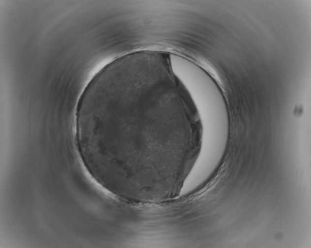 X0000090911095200708131408