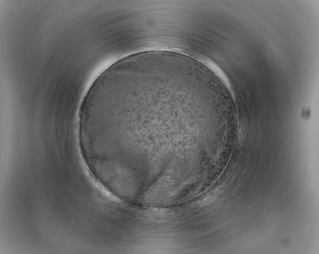 X0000090911096200708131408