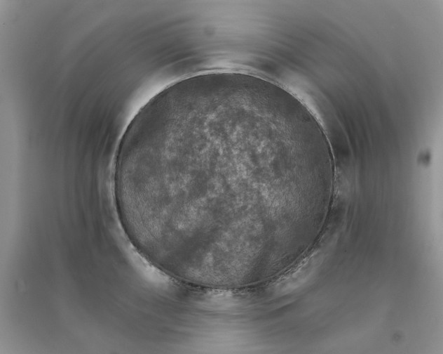 X0000090911098200708131408