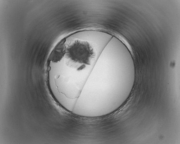 X0000090911099200708131408