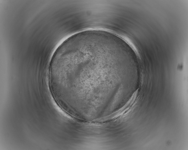 X0000090911100200708131408