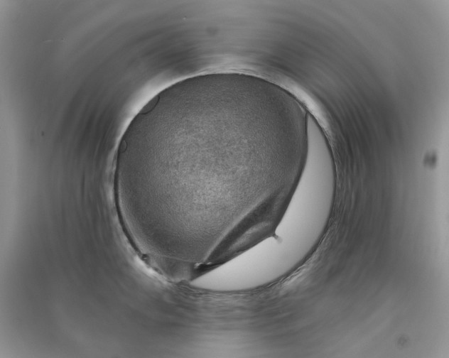 X0000090911102200708131408