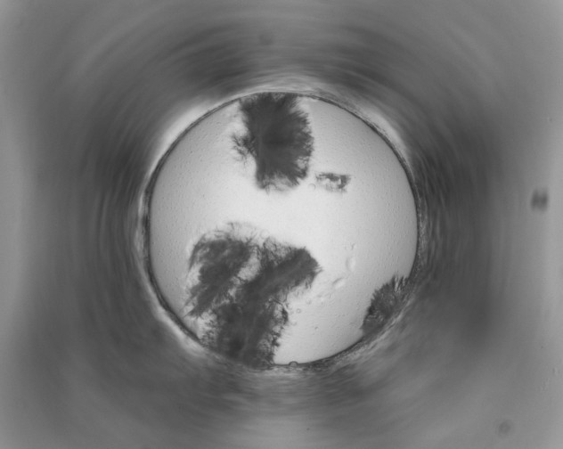 X0000090911103200708131408