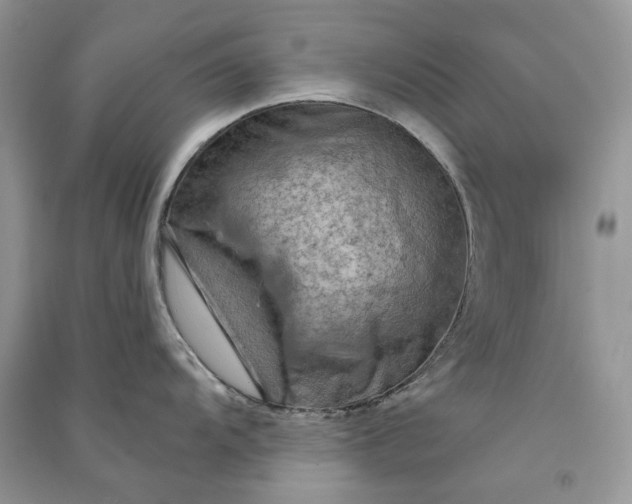 X0000090911104200708131408