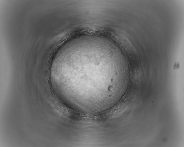 X0000090911105200708131407