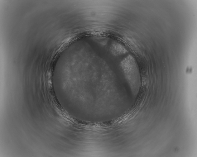 X0000090911106200708131407