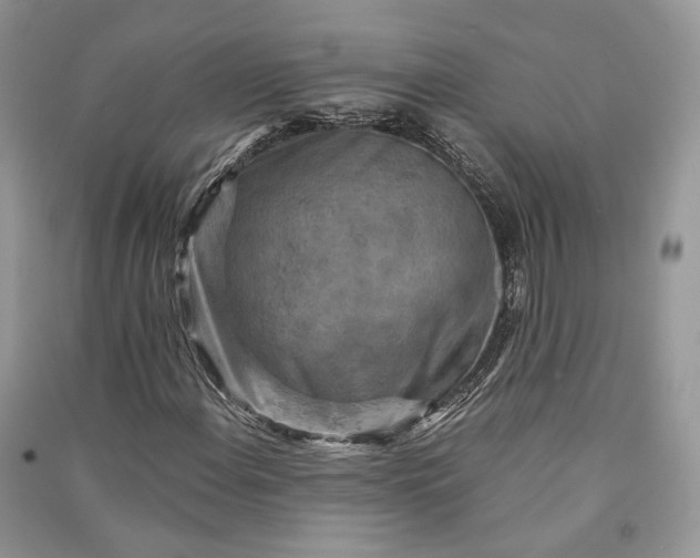 X0000090911108200708131407