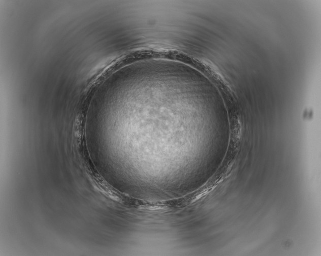 X0000090911110200708131407