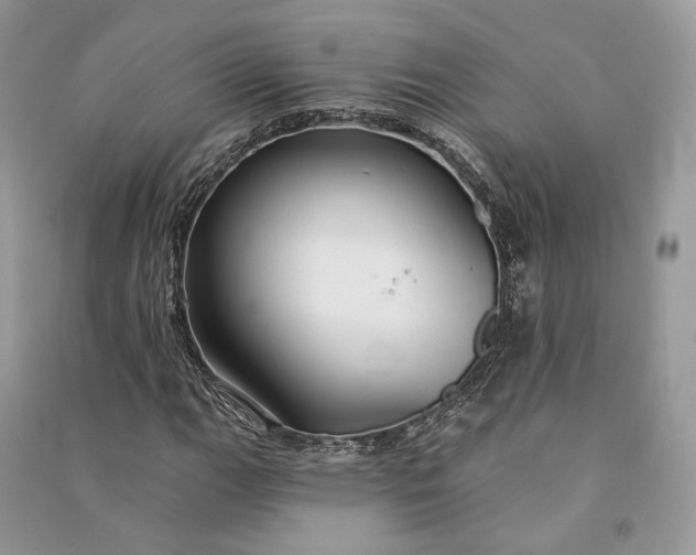 X0000090911111200708131407