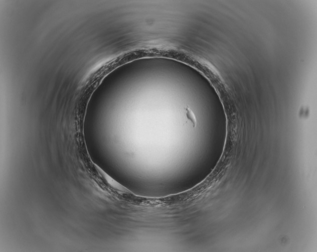 X0000090911112200708131407