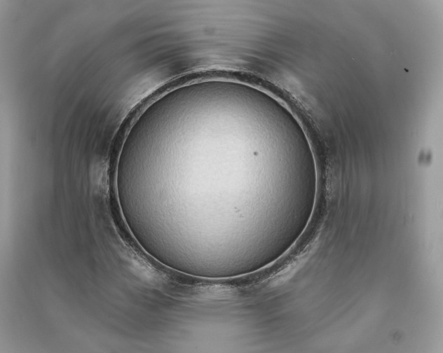 X0000090911113200708131407