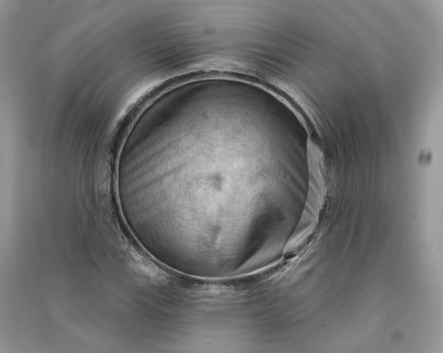 X0000090911115200708131407