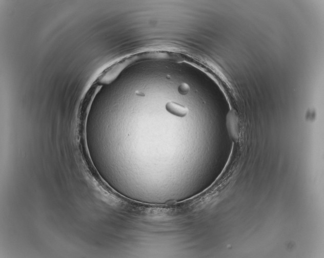 X0000090911116200708131407