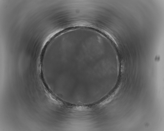 X0000090911117200708131407