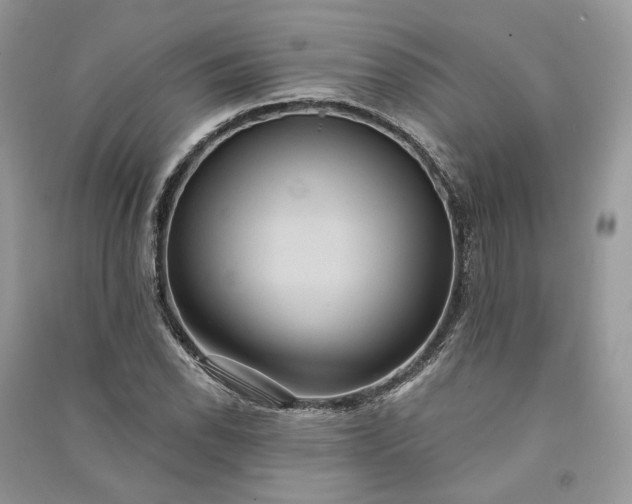 X0000090911118200708131407