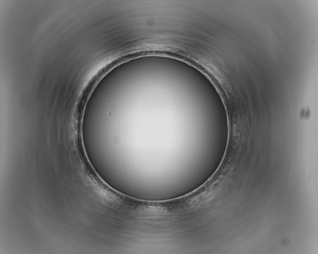 X0000090911119200708131407