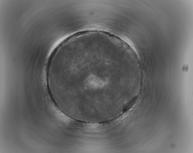 X0000090911120200708131407