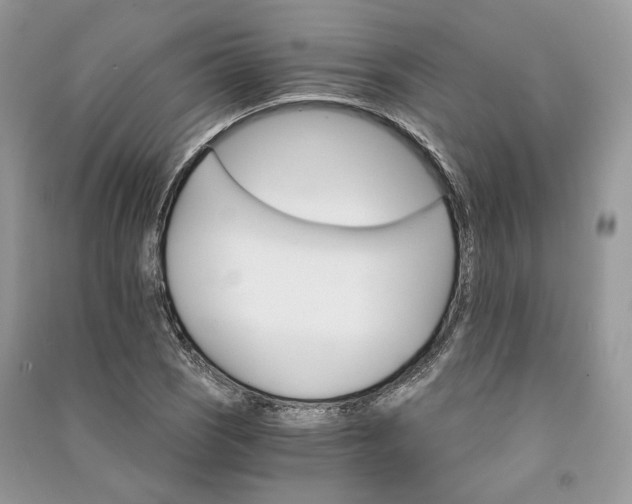 X0000090911121200708131407