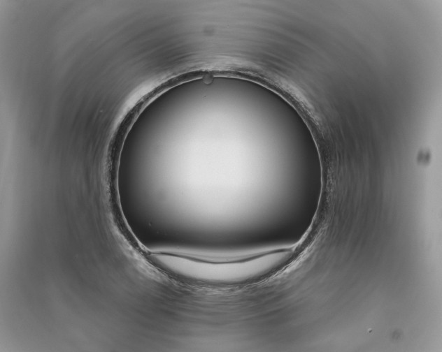 X0000090911122200708131407