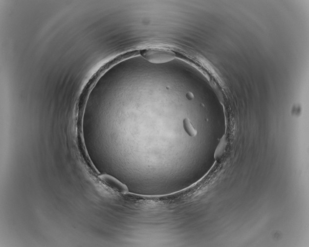 X0000090911124200708131407