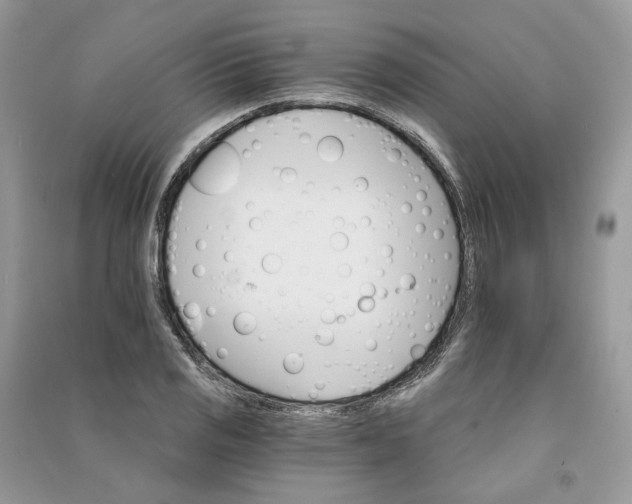 X0000090911125200708131407