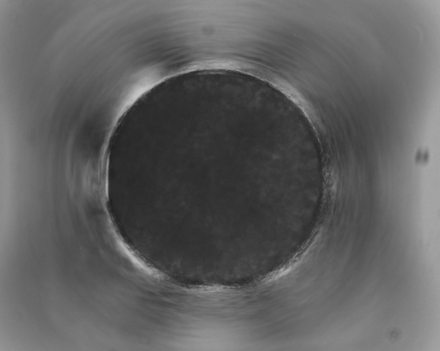 X0000090911127200708131407