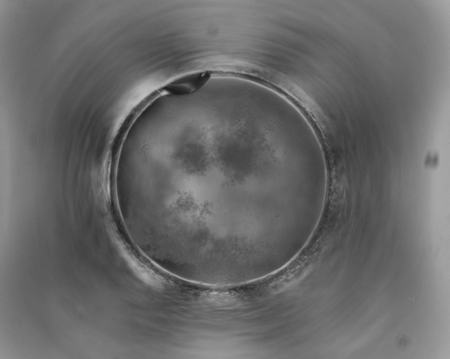 X0000090911128200708131407