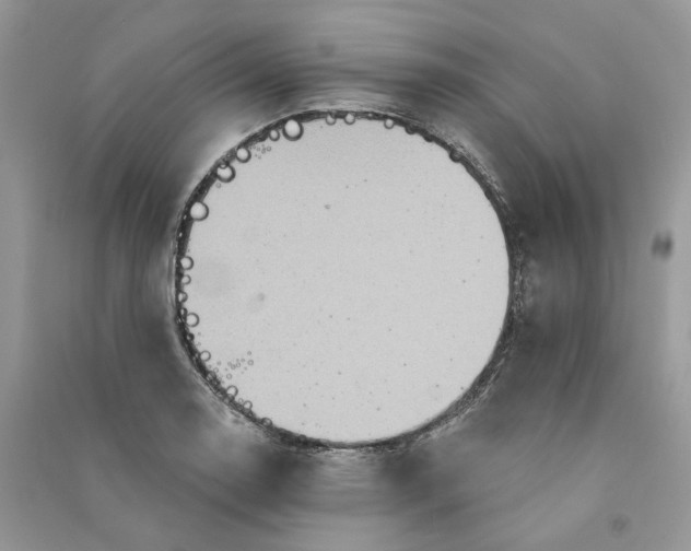 X0000090911130200708131407