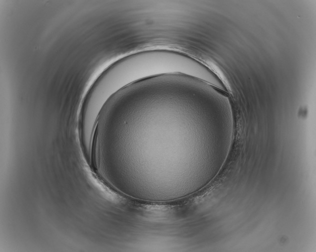 X0000090911132200708131407