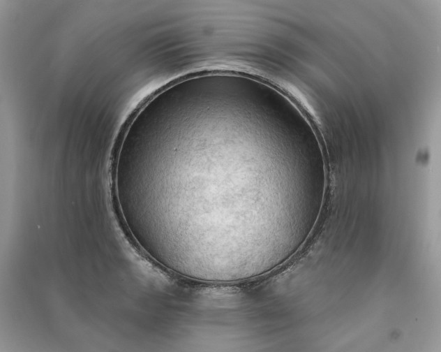 X0000090911133200708131407