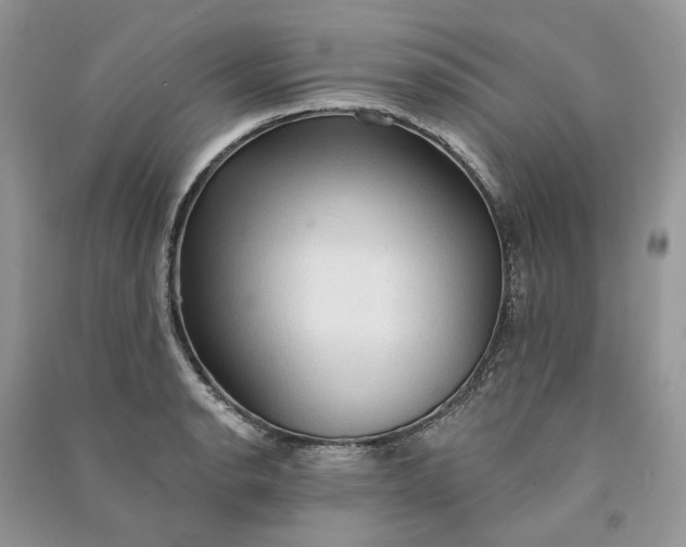 X0000090911134200708131407