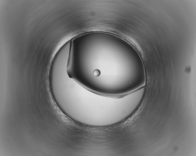 X0000090911138200708131407