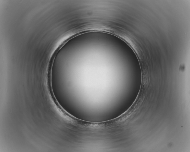 X0000090911139200708131407