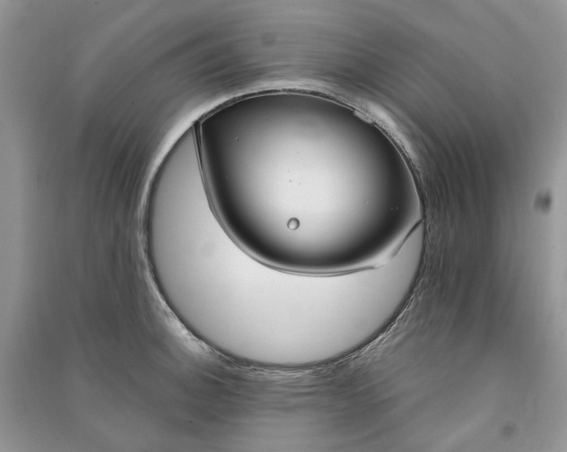 X0000090911140200708131407