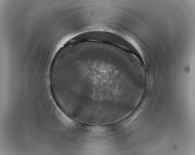 X0000090911141200708131407