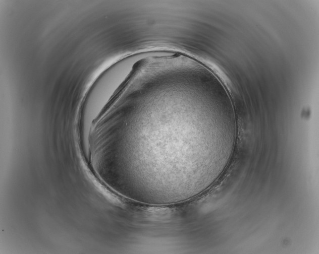 X0000090911142200708131407