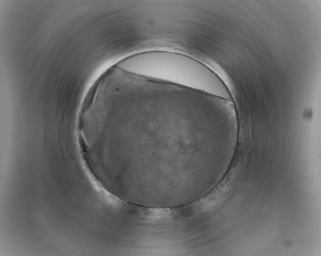 X0000090911144200708131407