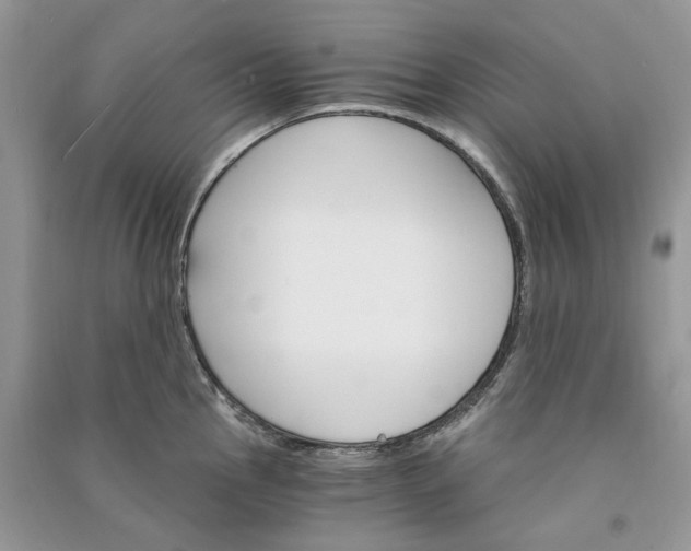 X0000090911145200708131407