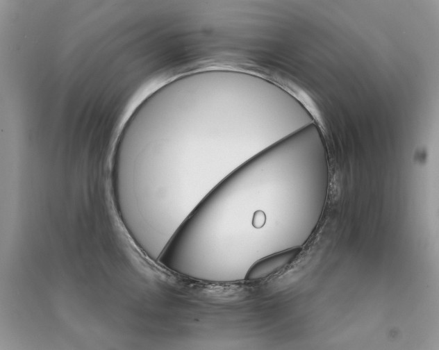 X0000090911146200708131407