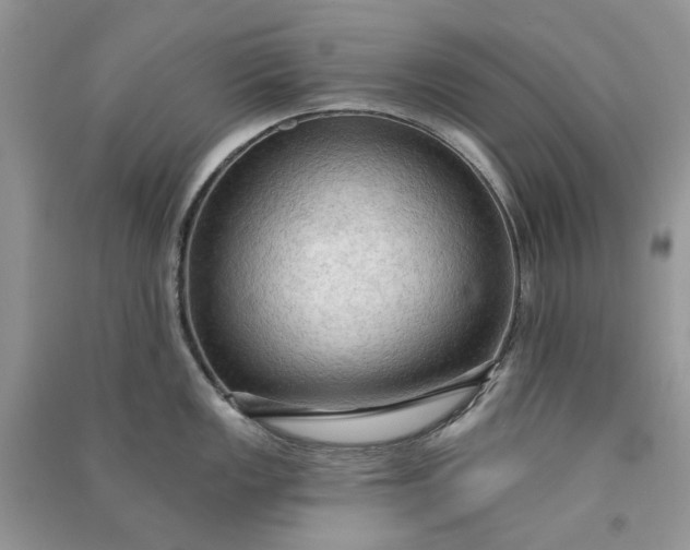 X0000090911149200708131407