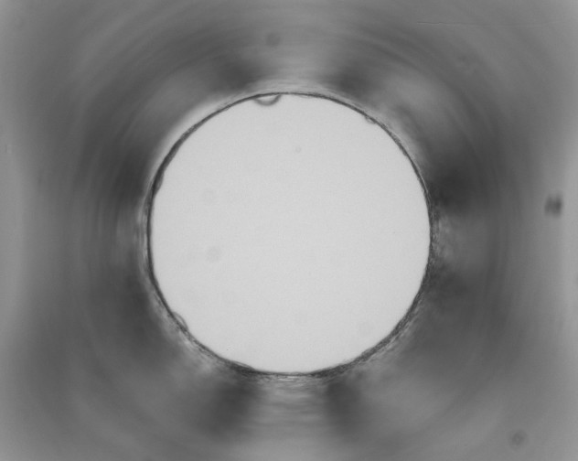 X0000090911150200708131407