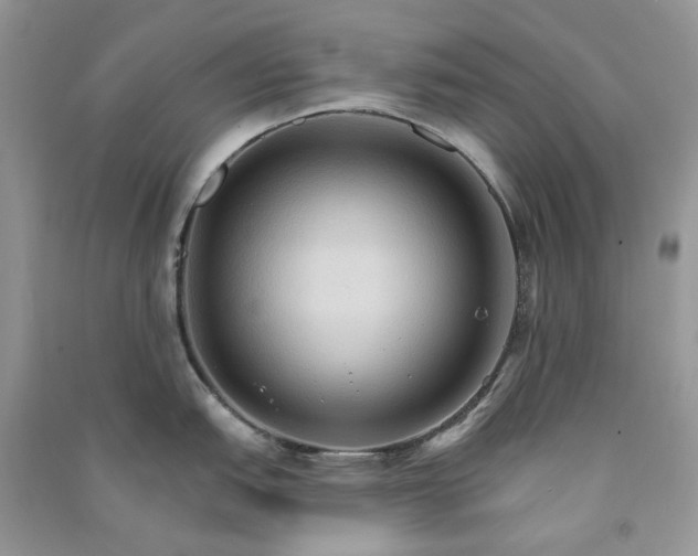 X0000090911151200708131407