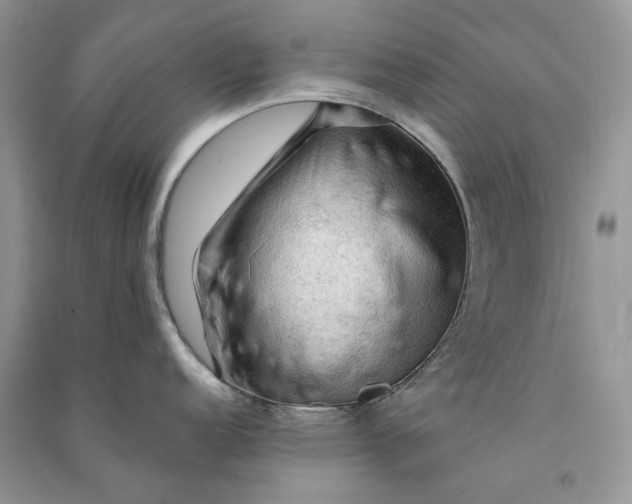 X0000090911152200708131408