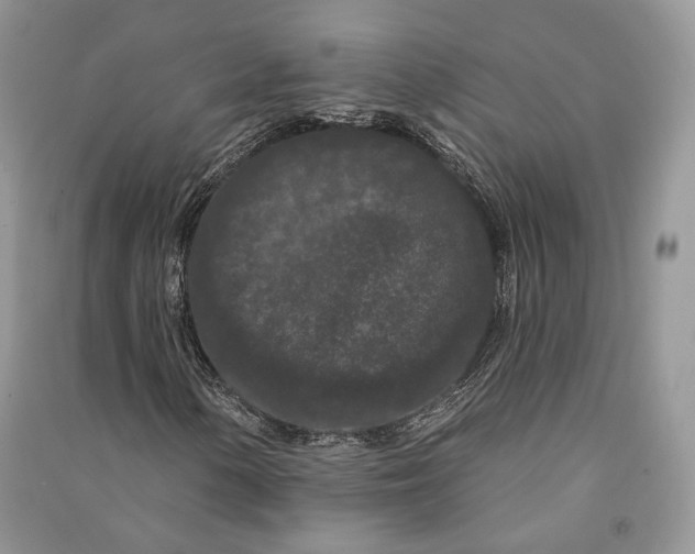 X0000090911154200708131407