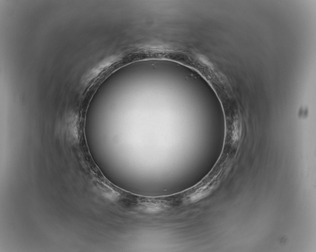 X0000090911157200708131407